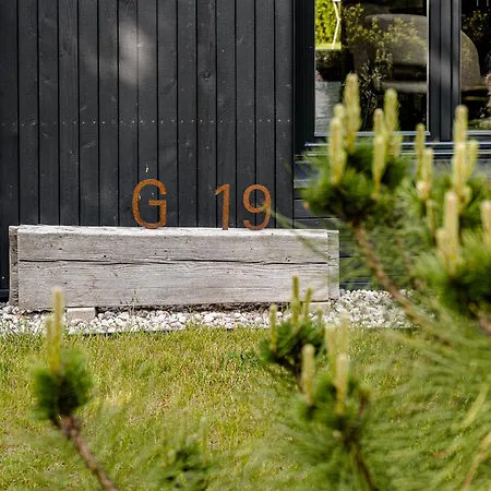 G-19 * Palanga